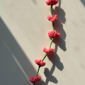 hyacinth