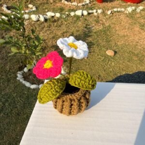 crochet mini pot white and pink daisies